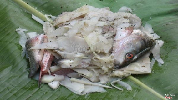 cá ốt đò