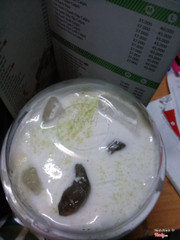 Lớp sủi bọt trên bề mặt