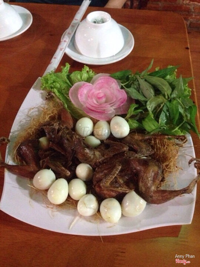 Tổ chim cát tiên