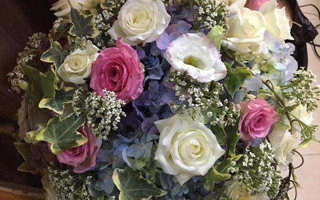 Elle Flora - Nguyễn Đình Chiểu