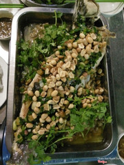 cá lóc hấp bầu