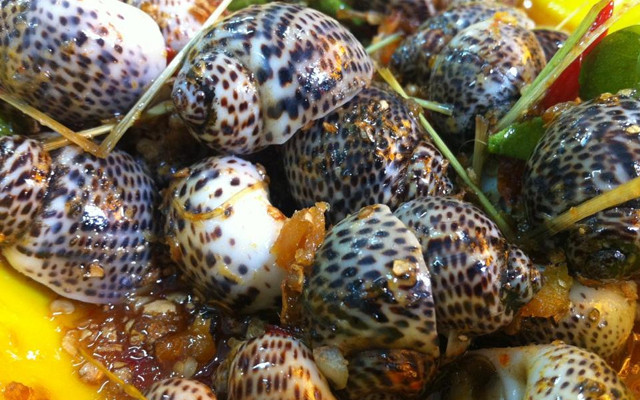 Hải Sản Toàn Anh