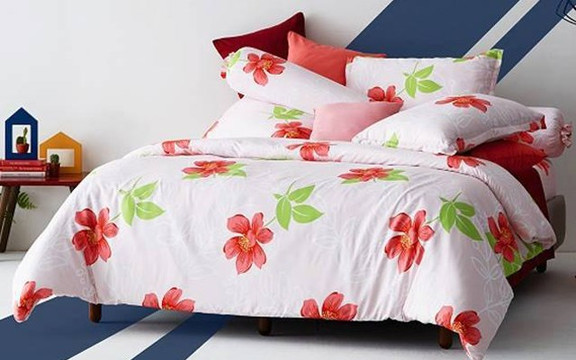LOTUS - Lotte Mart Đà Nẵng
