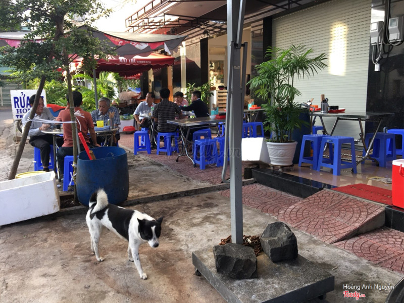 Có em chó trông nhà nhưng hiền lành