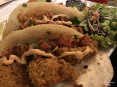 Crispy fried fish tacos