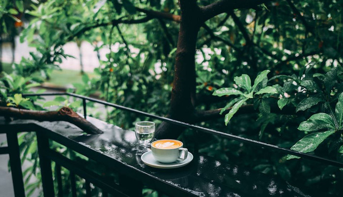 Thiên Hạt Specialty Coffee