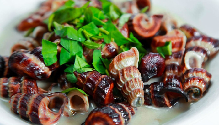 Ốc Phương - Phan Châu Trinh