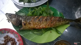 Cá thu nhật nướng 19k, cá rât tươi và ngọt thịt