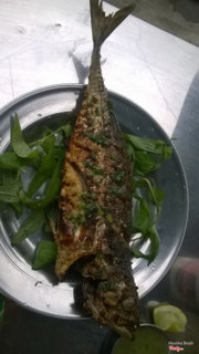 cá sòng nướng 20k , con to như trong hình @@