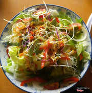 salad rong nho