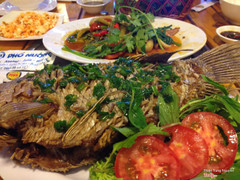 cá tai tượng chiên xù