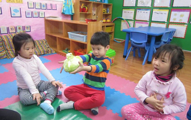 Mầm Non Cây Nấm Nhỏ