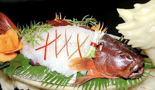 Cá Song Đỏ sashimi