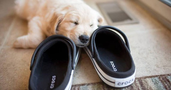 Crocs Viet Nam - Parkson Hùng Vương