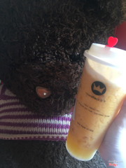 Trà xoài mềm thơm, kem cheese ngậy, nhân viên cực nhiệt tình là điểm cộng lớn ạ ^^ mình sẽ ủng hộ quán