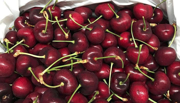 Eco Fruits Tân Sơn Nhất