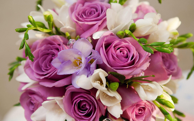 Hoa Tươi Lan Vy - Tam Hà