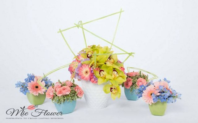 Mie Flower - Hoàng Hoa Thám