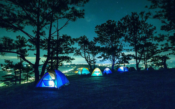 Đồi Thông Đa Phú