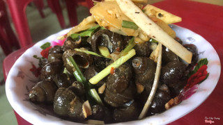 ốc nhỏ khe lại về,ốc vừa sạch vừa béo 