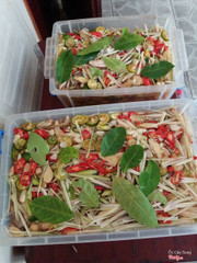 chân gà xả tắc ,món ngon ít ai cưỡng lại được sự hấp dẫn của nó