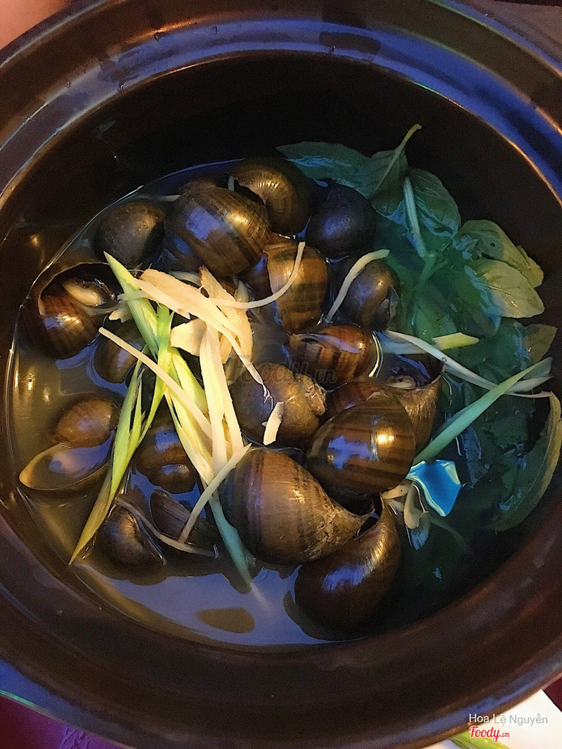 Ốc bươu hấp thố