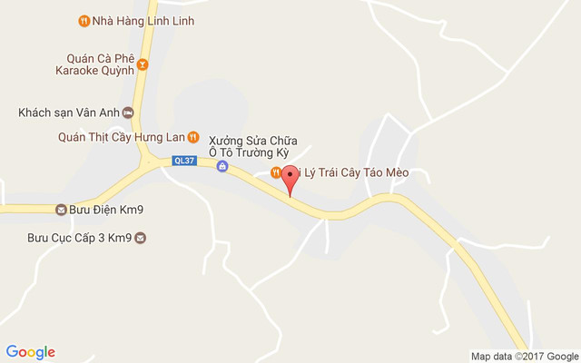 Linh Linh