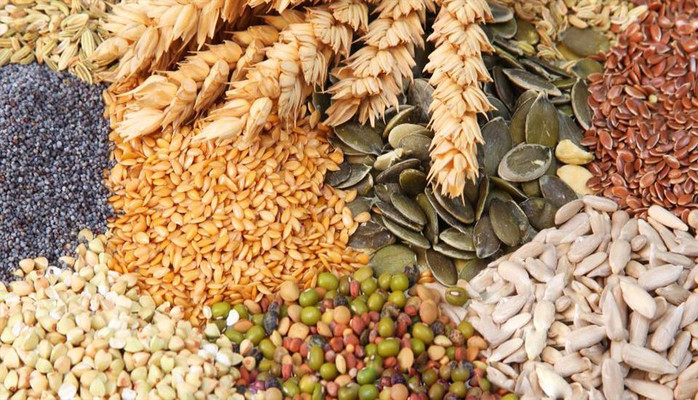 Homefood - Tinh Túy Thực Dưỡng