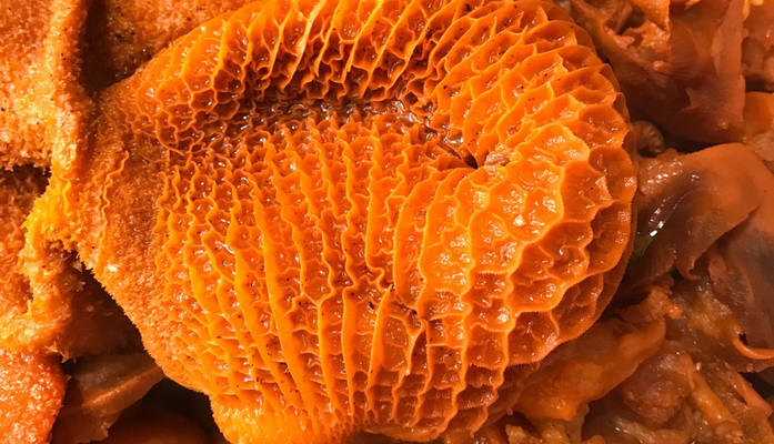 Kim Ký - Phá Lấu Bò & Bò Kho - Nguyễn Chí Thanh