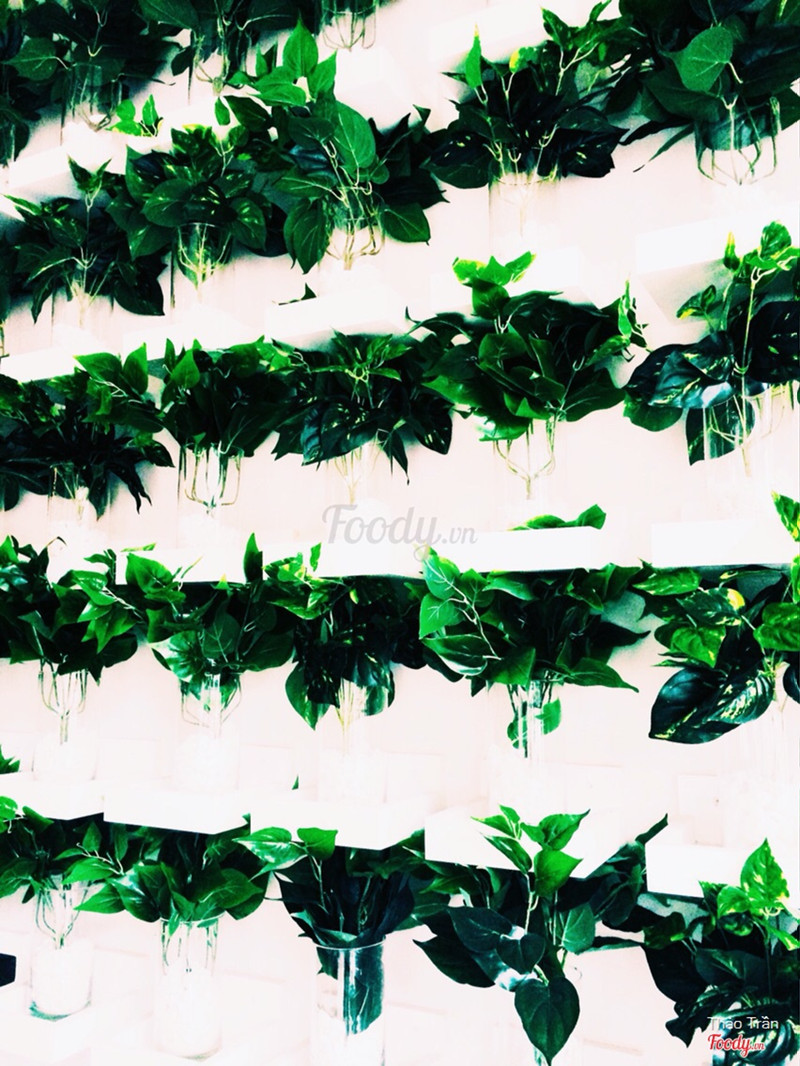 Follow my IG: rybubii