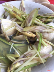 Ngao hấp