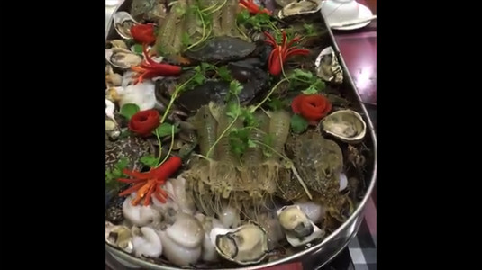 nhà mình triển khai lẩu khủng gồm lẩu hải sản và lẩu thái. có 2 loại giá 1.500.000/ lẩu tròn và 2.200.000 lẩu ô van.    liên hệ đặt trước : 0969810999.  👉 Liên hệ đặt phòng , Mr trung 0969810999 Mis Thơm 096 1968828 HOTLINE : 0333.825.686 ☝ ĐC: Tổ 6, khu 6, Phường Yết Kiêu , Hạ Long - đối diện Hạ Long View KTV / Cenco 5. 😘