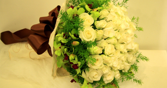  Lọ cát - Cây cảnh mini BeeGarden