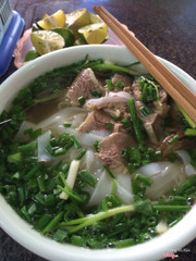 
phở bò