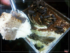 bên trong nhân bánh