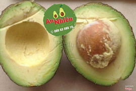 bơ hass giông Mỹ trồng tại Tây Nguyên 120k/kg bơ có hàm lượng chất dinh dưỡng cao tôt cho sưc khoẻ ... mẹ nào mua cho bé ăn dặm , bạn nào muốn thương thức hương vị hass thi order mình giao nha
Cảm nhậ