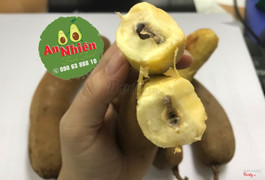 Me dốt bột chuẩn thái 160k/kg ngọt ngon 