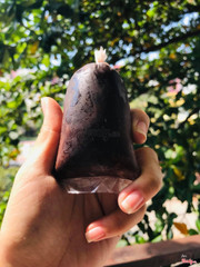 Sinh tố cacao ngon lắm nghe!