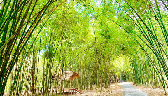 Bamboo Garden - Khu Dã Ngoại Sinh Thái