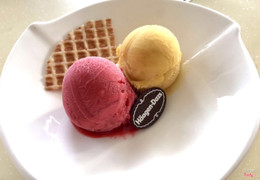 Raspberry Sorbet & Mango Sorbet