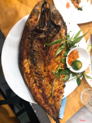 Tạm ổn, cá sapa chưa đc tươi lắm