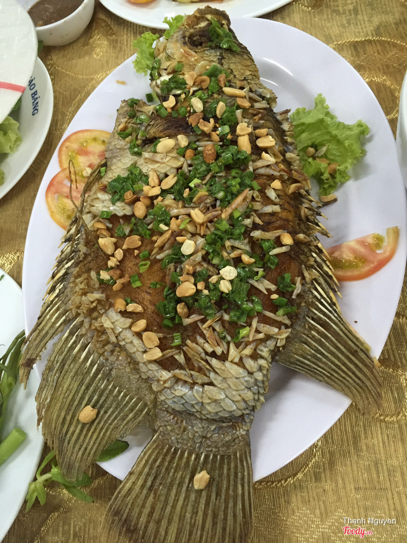 cá tai tượng chiên xù