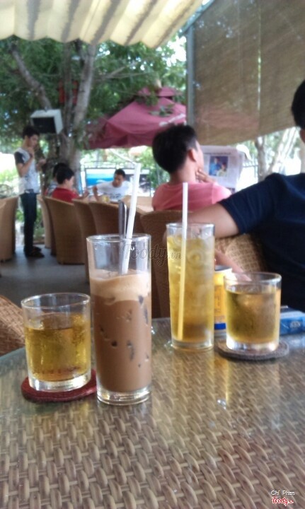 Cafe sữa và bò húc đây