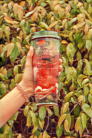 Vị ngọt, mát lạnh, béo béo còn gì bằng. Món giải khát đáng để lựa chọn.