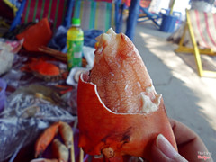 Nhìn đã nhỉ