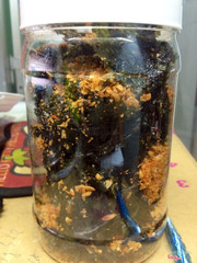 Rong biển cháy tỏi: nhỏ 18k, lớn 25 k