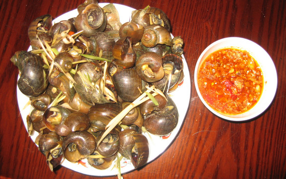 Ốc Hít Hà