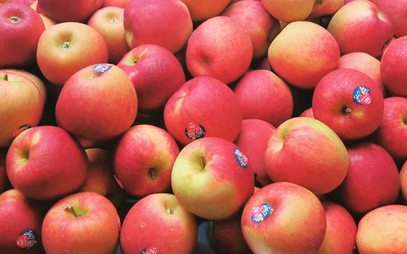 Văn Lang Fruit - Trái Cây Tươi