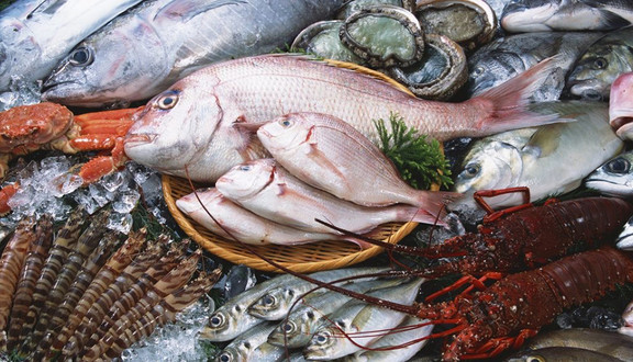 Băng Hải Sản Phan Thiết