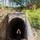 Dương Thùy